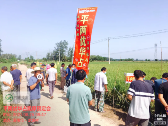 新興隆，新氣象，新未來—記滁州市平兩優(yōu)華占觀摩預(yù)訂會
