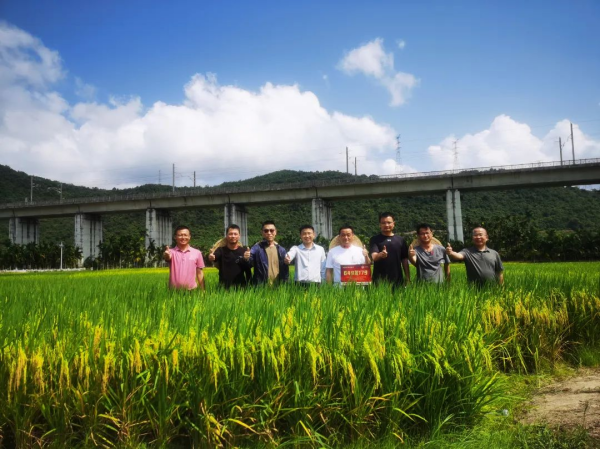  隆平好糧團(tuán)隊(duì)與湖南鼎城客戶考察興隆種業(yè)南繁科研基地