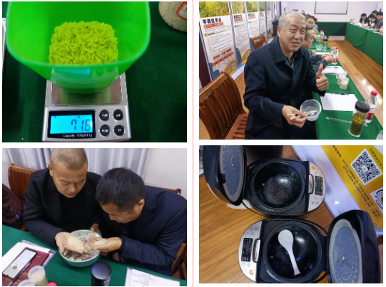 湖南興隆種業有限公司,長沙稻谷種植與銷售,長沙農作物品種的選育,長沙農業病蟲害防治服務 湖南興隆種業有限公司,長沙稻谷種植與銷售,長沙農作物品種的選育,長沙農業病蟲害防治服務