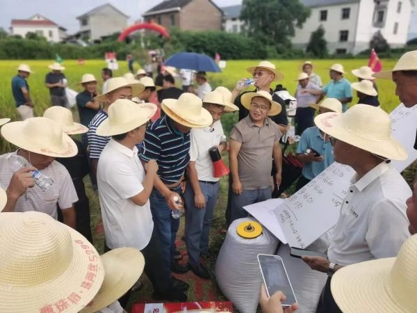 湖南興隆種業(yè)有限公司,長(zhǎng)沙稻谷種植與銷售,長(zhǎng)沙農(nóng)作物品種的選育,長(zhǎng)沙農(nóng)業(yè)病蟲害防治服務(wù) 湖南興隆種業(yè)有限公司,長(zhǎng)沙稻谷種植與銷售,長(zhǎng)沙農(nóng)作物品種的選育,長(zhǎng)沙農(nóng)業(yè)病蟲害防治服務(wù)