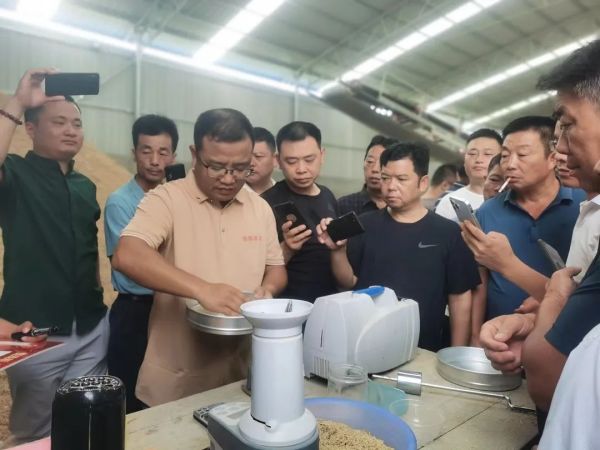 湖南興隆種業(yè)有限公司,長(zhǎng)沙稻谷種植與銷售,長(zhǎng)沙農(nóng)作物品種的選育,長(zhǎng)沙農(nóng)業(yè)病蟲害防治服務(wù) 湖南興隆種業(yè)有限公司,長(zhǎng)沙稻谷種植與銷售,長(zhǎng)沙農(nóng)作物品種的選育,長(zhǎng)沙農(nóng)業(yè)病蟲害防治服務(wù)