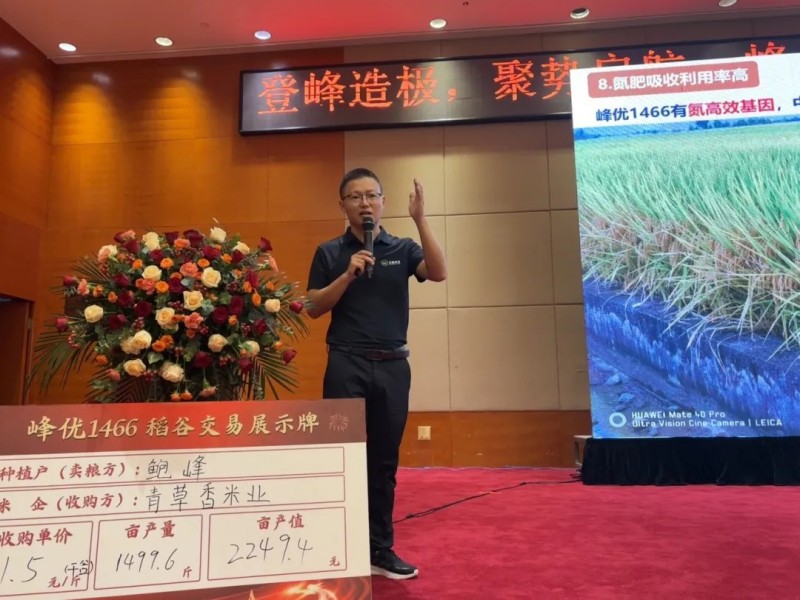 湖南興隆種業(yè)有限公司,長沙稻谷種植與銷售,長沙農(nóng)作物品種的選育,長沙農(nóng)業(yè)病蟲害防治服務(wù) 湖南興隆種業(yè)有限公司,長沙稻谷種植與銷售,長沙農(nóng)作物品種的選育,長沙農(nóng)業(yè)病蟲害防治服務(wù)