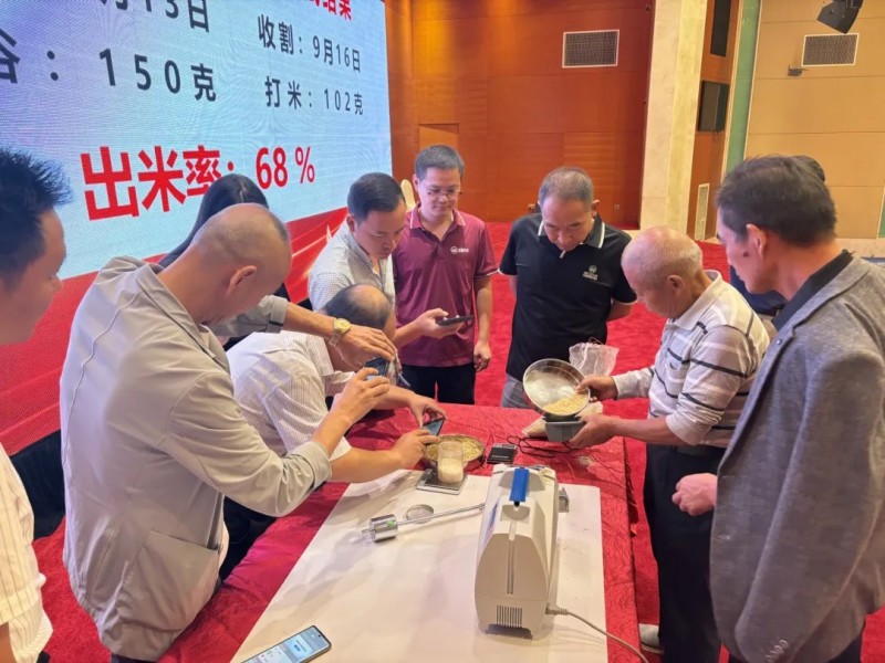湖南興隆種業(yè)有限公司,長沙稻谷種植與銷售,長沙農(nóng)作物品種的選育,長沙農(nóng)業(yè)病蟲害防治服務(wù) 湖南興隆種業(yè)有限公司,長沙稻谷種植與銷售,長沙農(nóng)作物品種的選育,長沙農(nóng)業(yè)病蟲害防治服務(wù)